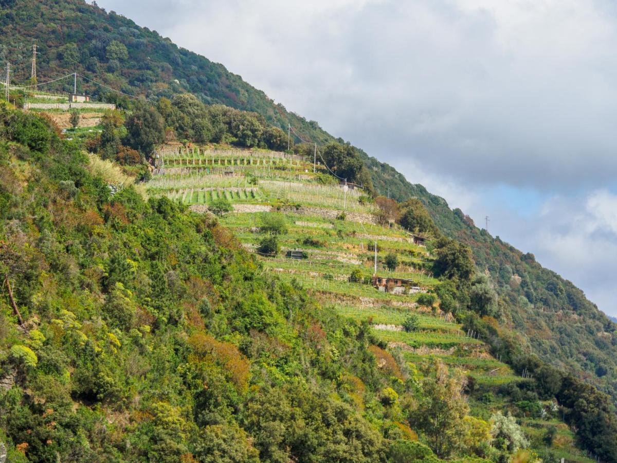 Villa Tanca With Ac, Terrace And Views Monterosso al Mare Exterior foto